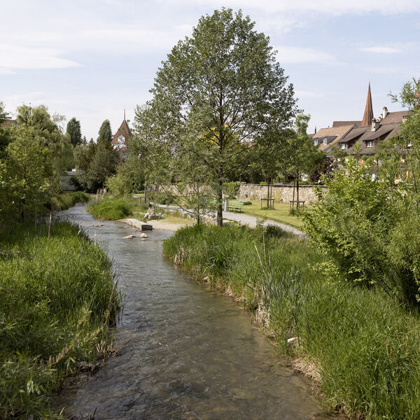 Gewässerrevitalisierung in Gemeinden